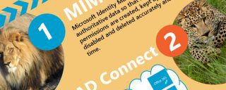 Identity Protection infographic