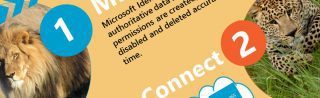 Identity Protection infographic
