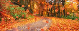 identity governance road show denver october